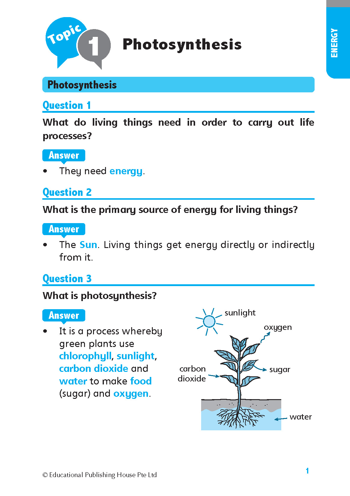 P6 Science Quick and Effective Q&A - Image 3