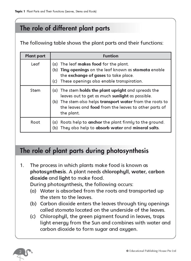 P4 Science Revision Workbook – EPH