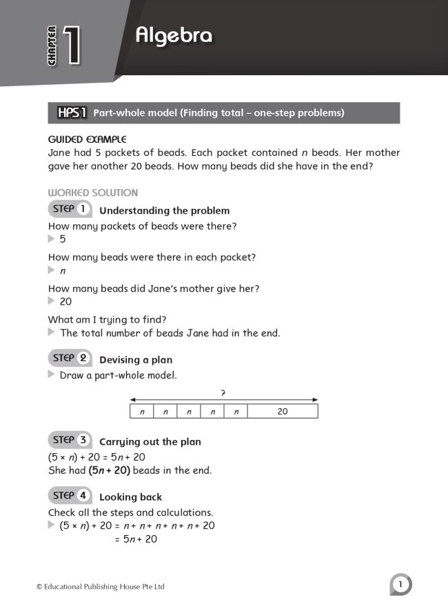P6 New Problem-Solving Processes in Mathematics – EPH
