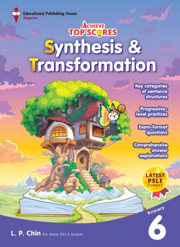 P6 Achieve Top Scores: Synthesis and Transformation