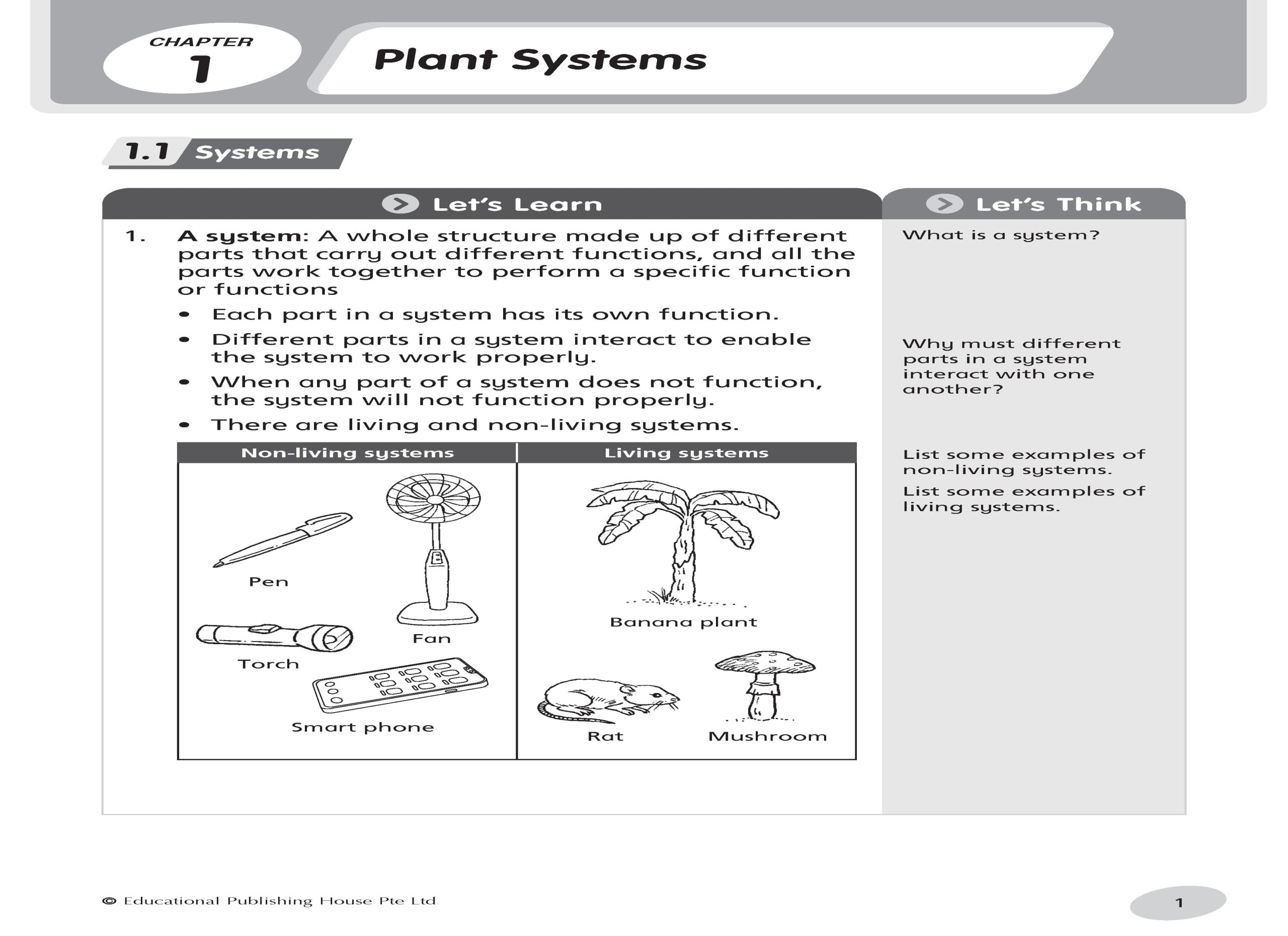 P4 Science Notes & Practice - Image 3