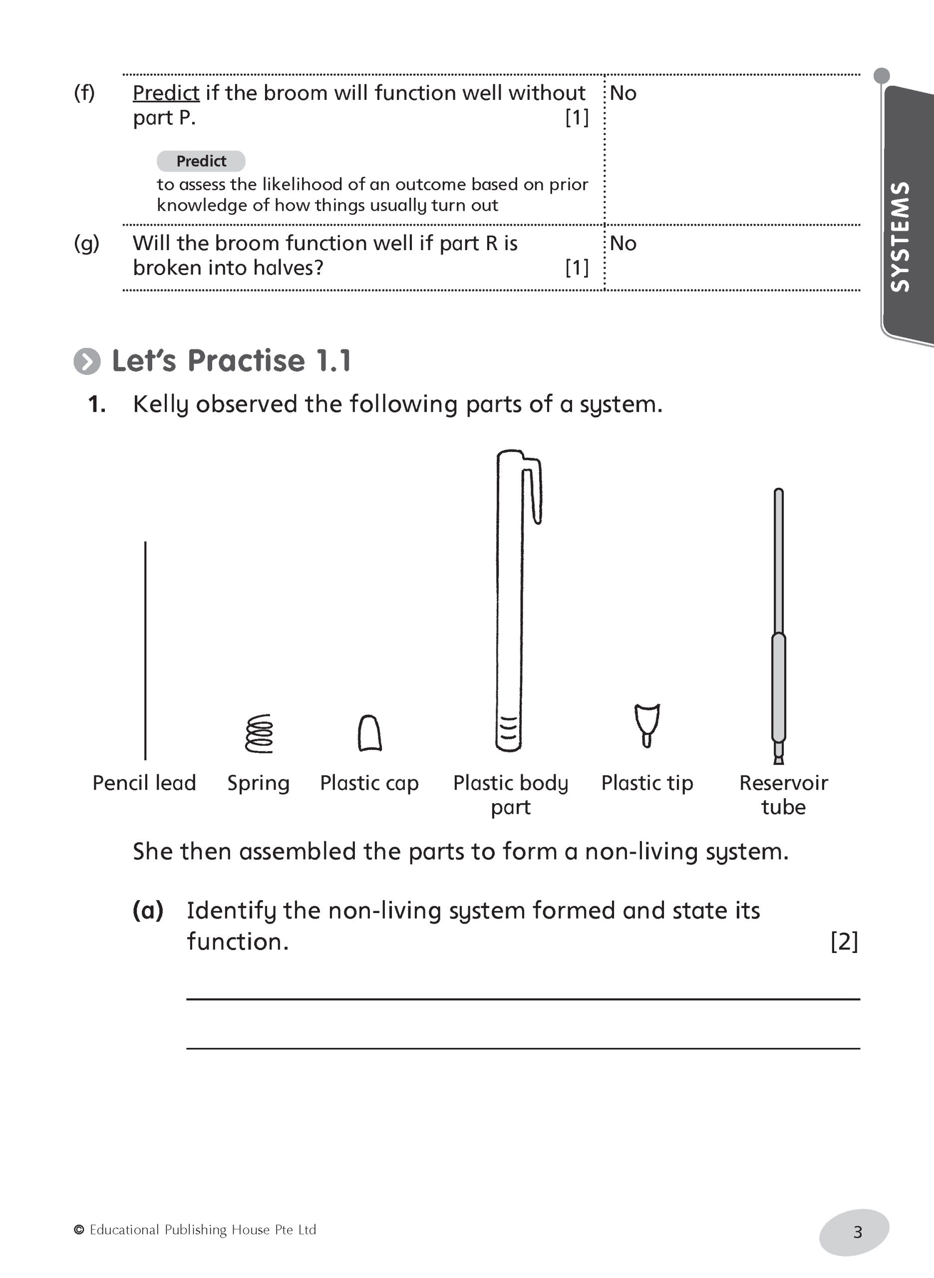 P4 Science Notes & Practice - Image 5