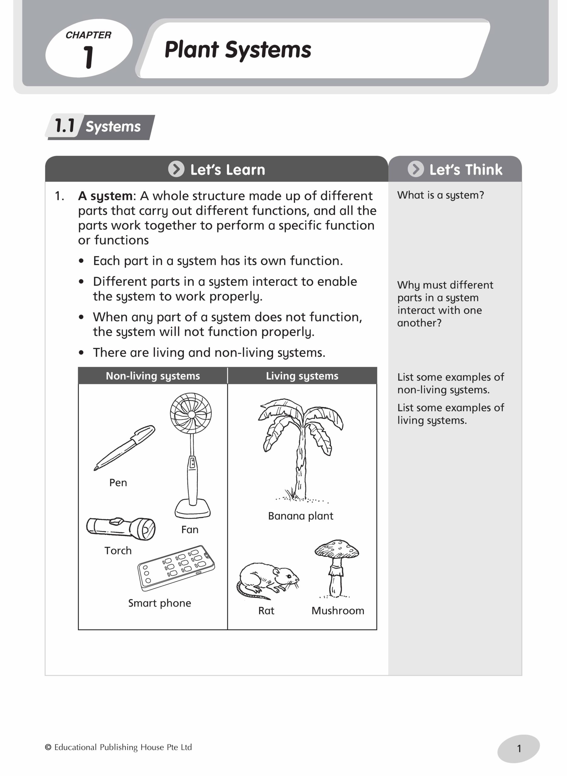 P4 Science Notes & Practice - Image 4